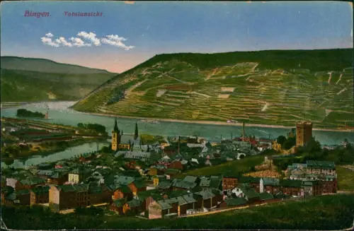 Bingen am Rhein Panorama-Ansicht Totalansicht Blick zum Rhein 1910