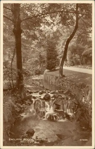 Postcard Sheffield ENCLIFFE WOODS, SHEFFIELD 1930