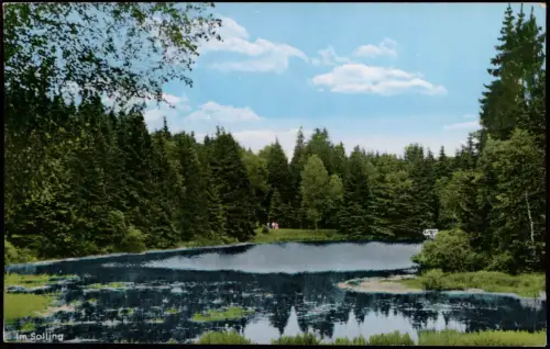 Ansichtskarte .Niedersachsen Im SOLLING Neuer Teich 1960
