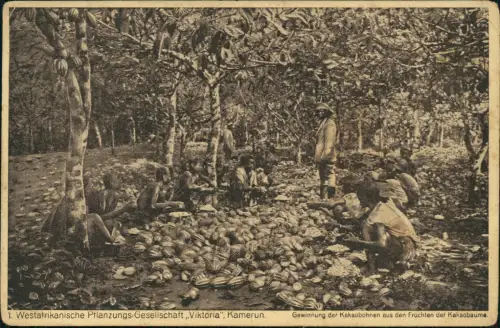 Postcard .Kamerun Westafrikanische Pflanzungs-Gesellschaft Viktoria 1929