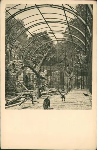 Ansichtskarte Hietzing-Wien Tiergarten Schönbrunn - Flugkäfig 1929