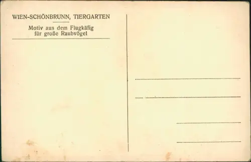 Ansichtskarte Hietzing-Wien Tiergarten Schönbrunn - Flugkäfig 1929