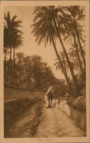 Ansichtskarte  Oase Arabische Typen Arabien Africa 1928