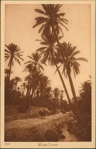 Ansichtskarte  Arabische Typen Arabien Oase Africa 1928