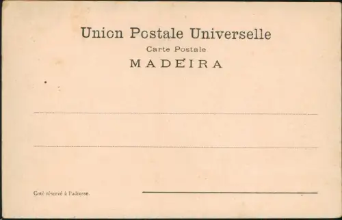 Postcard Funchal Strand Totale 1912