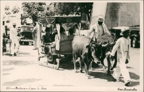 Postcard Funchal Carro de Bois Ochsen Schlitten Fotokarte 1930