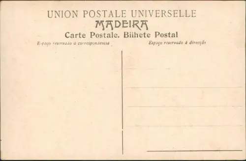 Postcard Funchal Stadtblick - Madeira 1912