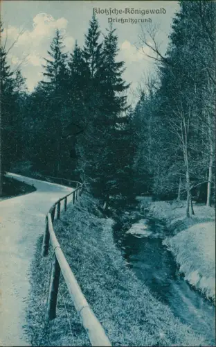 Ansichtskarte Klotzsche-Dresden Prießnitzgrund 1927