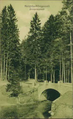 Ansichtskarte Klotzsche-Dresden Prieznitzgrund Königswald Brücke 1914