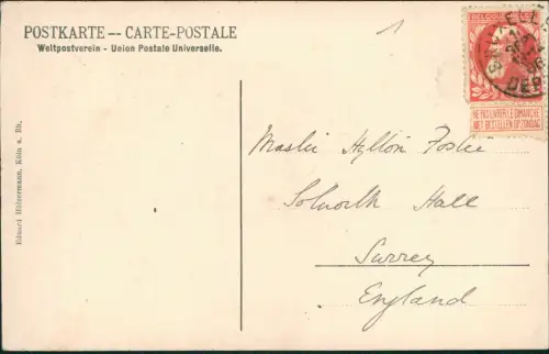 Ansichtskarte Bingen am Rhein Burg Schloss Rheinstein Gruss vom Rhein 1906