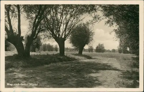 Ansichtskarte Ludorf Weg nach Ludorf Müritz - Fotokarte 1954