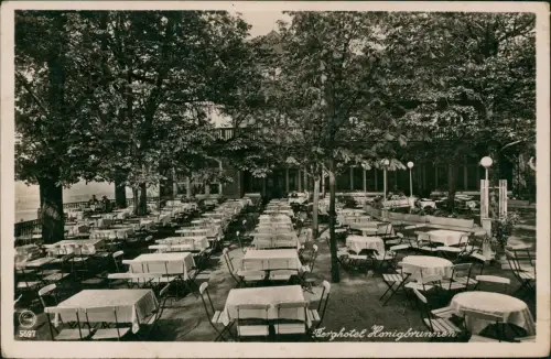 Ansichtskarte Löbau Berghotel Honigbrunnen - Fotokarte 1940