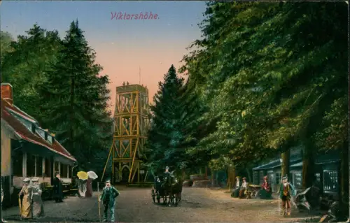 Ansichtskarte Friedrichsbrunn Viktorshöhe. Restaurat Kutsche 1914