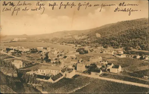 Ansichtskarte Walporzheim-Bad Neuenahr-Ahrweiler Stadtpartie Weinreben 1916