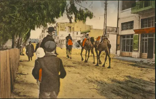 Tel Aviv Jaffa תל אביב-יפו  Jafo Deutsche Kolonie Jappa  Straße Judaika 1912