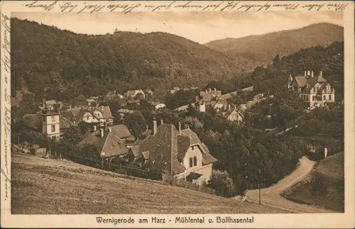 Ansichtskarte Wernigerode Harz - Mühlental u. Bollhasental 1918