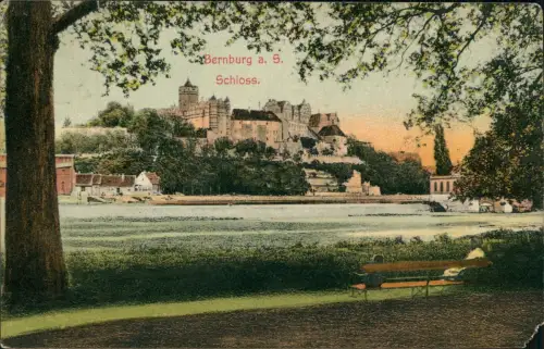 Ansichtskarte Bernburg (Saale) Saalepartie und Schloß 1909