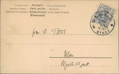 Ansichtskarte  Sport - Pferdesport Fotokarte Springreiter Pferd 1904