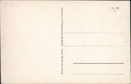 Ansichtskarte Titisee-Neustadt Umland Relieflandkarten AK 1932