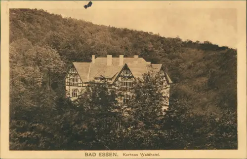 Ansichtskarte Bad Essen Kurhaus Waldhotel. 1916