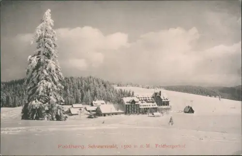 Ansichtskarte Titisee-Neustadt Feldberg und Feldbergerhof im Winter 1913