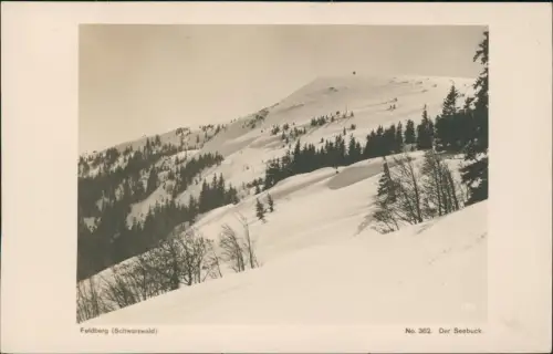 Feldberg (Schwarzwald) Der Seebuck im Winter Feldberg Schwarzwald 1929