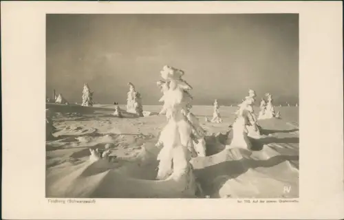 Titisee-Neustadt Feldberg Auf der oberen Grafenmatte. Winter 1929