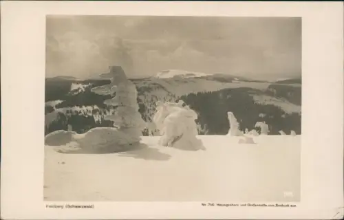 Titisee-Neustadt Herzogenhorn und Grafenmatte vam Seebuck aus Fotokarte 1929