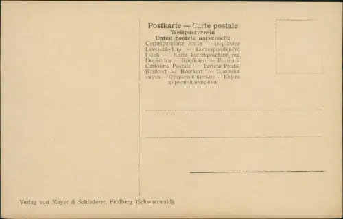Titisee-Neustadt Herzogenhorn und Grafenmatte vam Seebuck aus Fotokarte 1929