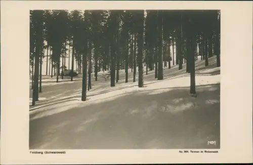 Feldberg (Schwarzwald) Feldberg Schwarzwald Tannen im Rinkenwald. Winter 1930