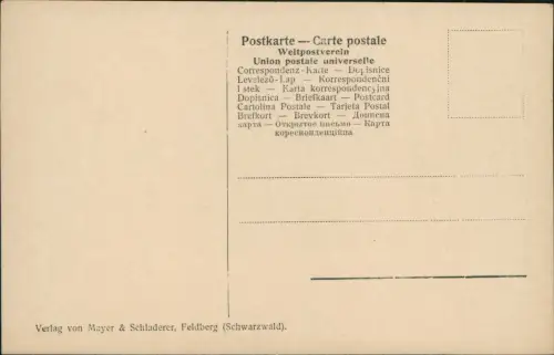 Feldberg (Schwarzwald) Seebuck und Bismarckdenkmal. Im Winter Fotokarte 1930