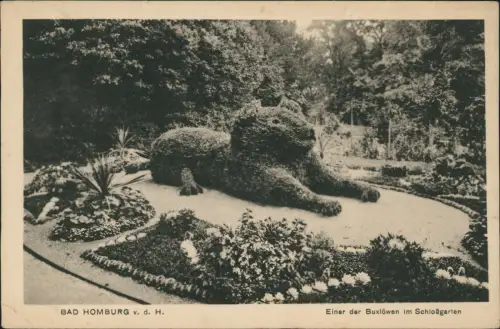 Bad Homburg vor der Höhe Einer der Buxlöwen im Schloßgarten 1924