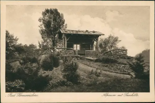 Ansichtskarte Bad Hermannsborn-Bad Driburg Alpinum mit Sennhütte. 1938