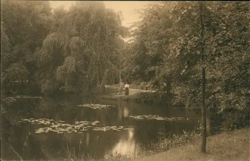 Ansichtskarte Hamm (Westfalen) Goldfischteich 1910