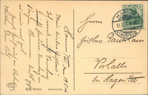 Ansichtskarte Hamm (Westfalen) Goldfischteich 1910