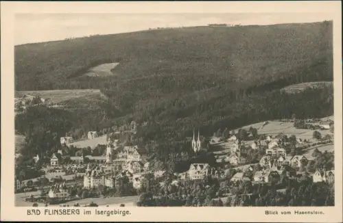 Postcard Bad Flinsberg Świeradów-Zdrój Blick vom Hasenstein. 1922