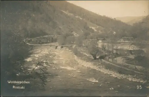 Postcard Ukraine (Allgemein) Waldkarpáthen Rostocki Karphaty 1917