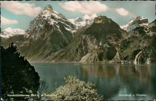 Luzern Lucerna Vierwaldstättersee Blick Tellsplatte - Colorfotokarte 1964
