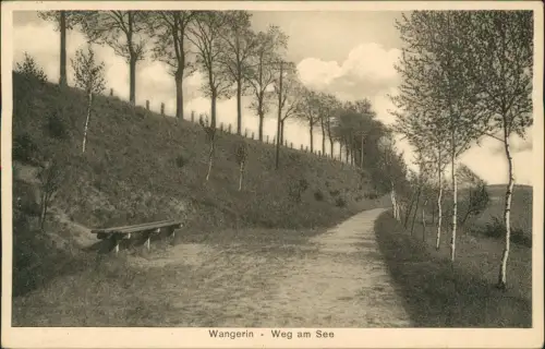 Postcard Wangerin Węgorzyno Weg am See 1922