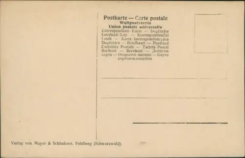 Feldberg (Schwarzwald) Angewehter Schnee b. d. Menzenschwanderhütte 1929