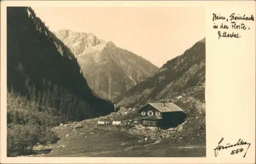 Ansichtskarte .Tirol Zillertal -Tirol Beim Steinbock in der Floite 1930