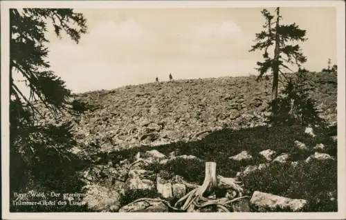 .Bayern Bayerischer Wald Der granitene Trümmer-Gipfel Lusen 1938