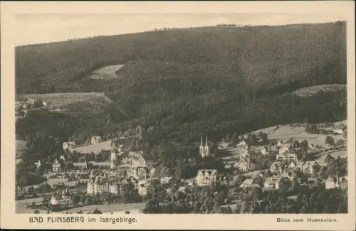 Postcard Bad Flinsberg Świeradów-Zdrój Blick vom Hasenstein. 1922