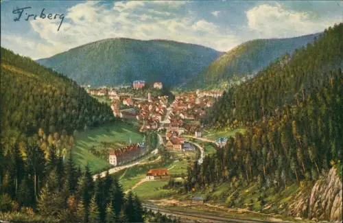 Triberg Schwarzwald vom Hohnen nach Original  R. Steinert Künstlerkarte 1910