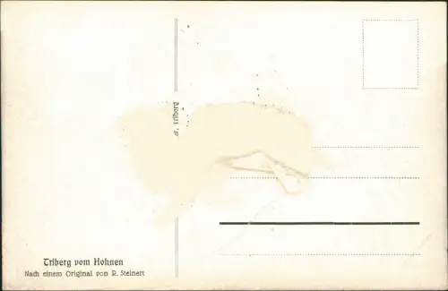 Triberg Schwarzwald vom Hohnen nach Original  R. Steinert Künstlerkarte 1910