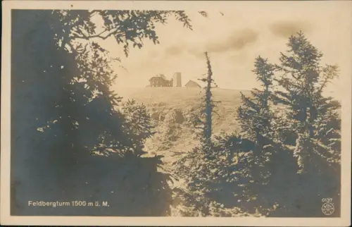 Ansichtskarte Feldberg (Schwarzwald) Feldbergturm mit Umland-Ansicht 1920