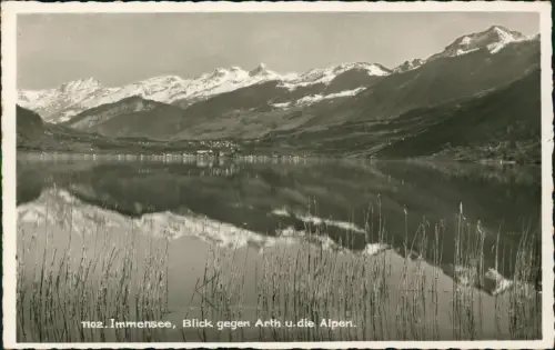 Küssnacht SZ Immensee, Blick gegen Arth u.die Alpen. Fotokarte 1957
