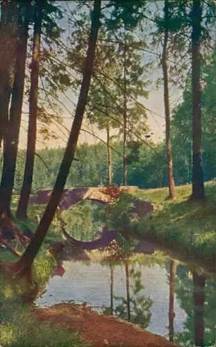Ansichtskarte Dresdner Heide-Dresden Kunschwanz Brücke 1916