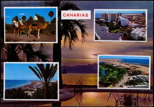 Postale Gran Canaria Canaris Kanaren Mehrbildkarte 1981