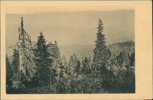 Ansichtskarte Bayerisch Eisenstein Blick vom Arber nach dem Falkenstein 1920
